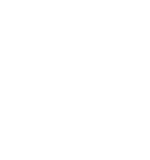 Zenith